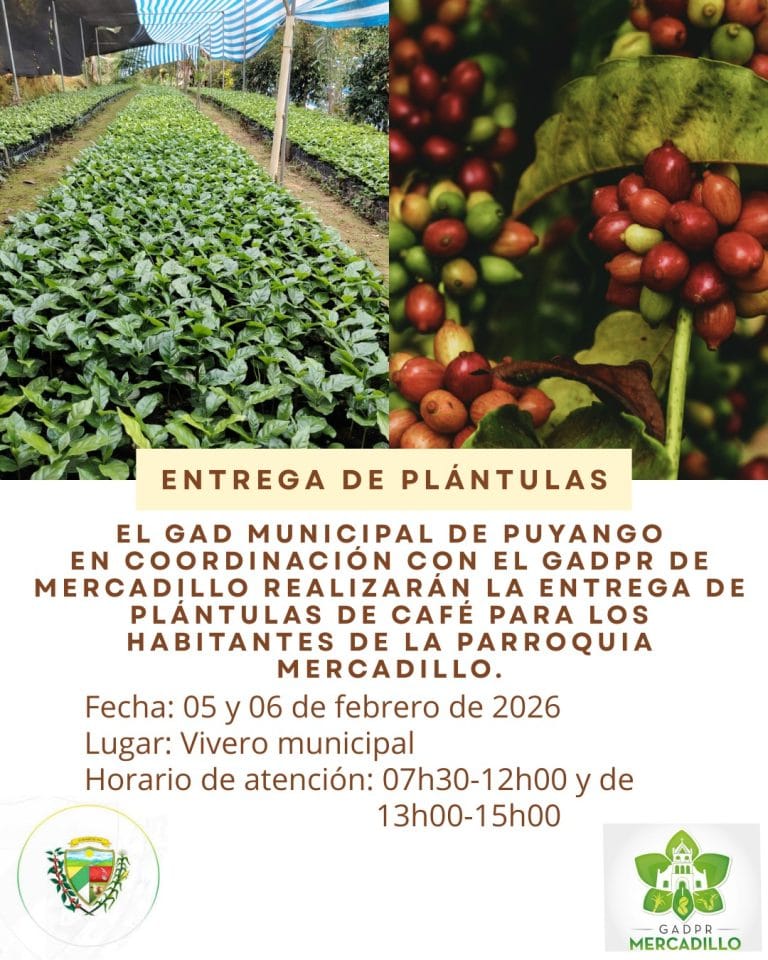 Entrega de plántulas de café.